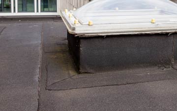 disadvantages of Brown Lees flat roofs